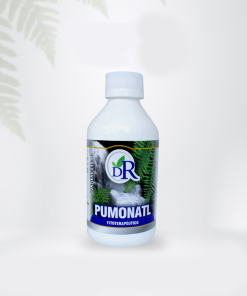 Pulmonat